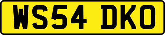 WS54DKO