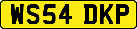WS54DKP