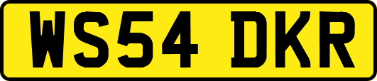 WS54DKR