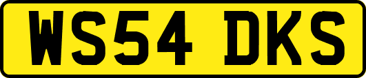 WS54DKS