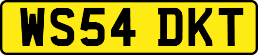 WS54DKT