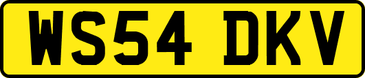 WS54DKV