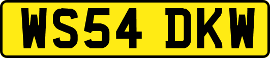 WS54DKW