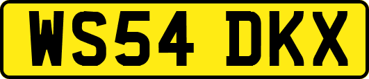WS54DKX