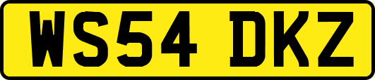 WS54DKZ