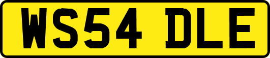 WS54DLE