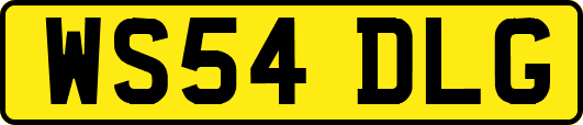 WS54DLG