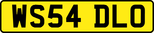 WS54DLO