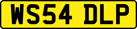 WS54DLP