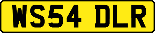WS54DLR