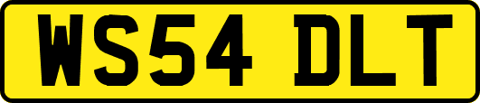 WS54DLT