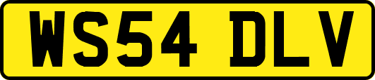 WS54DLV