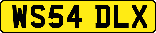 WS54DLX