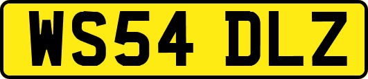 WS54DLZ