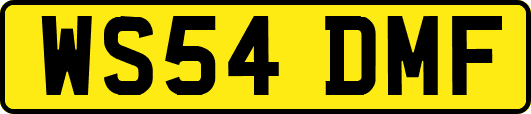 WS54DMF