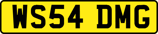 WS54DMG
