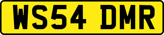 WS54DMR