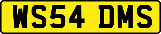 WS54DMS