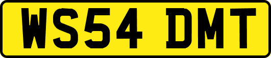 WS54DMT
