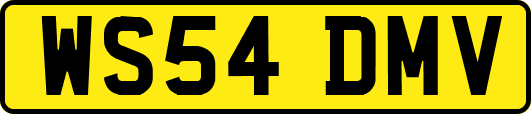 WS54DMV
