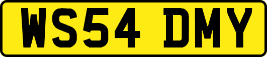 WS54DMY