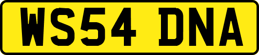 WS54DNA