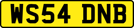 WS54DNB