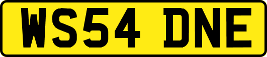 WS54DNE