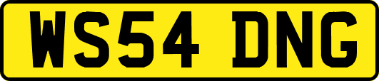 WS54DNG