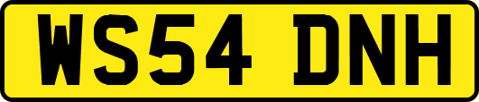 WS54DNH