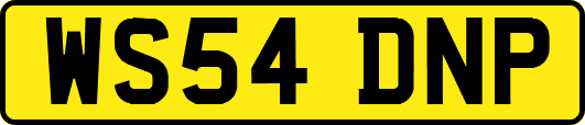 WS54DNP