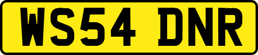 WS54DNR