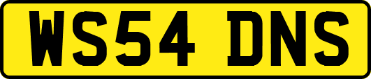 WS54DNS