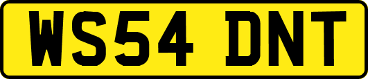 WS54DNT