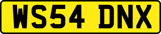 WS54DNX