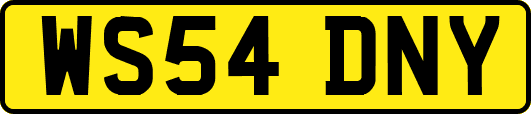 WS54DNY