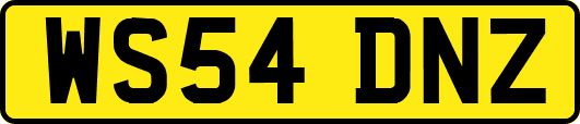 WS54DNZ