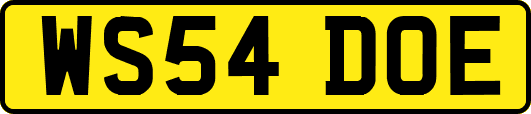 WS54DOE