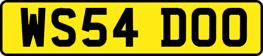 WS54DOO