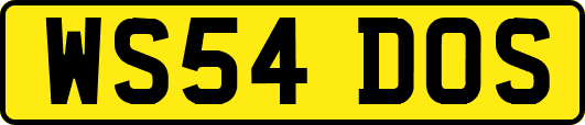 WS54DOS