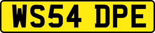 WS54DPE