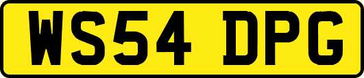 WS54DPG