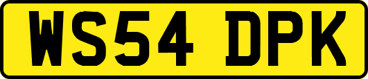 WS54DPK
