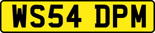 WS54DPM