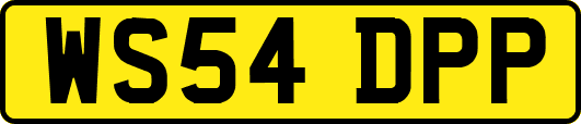 WS54DPP