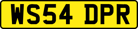 WS54DPR