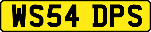 WS54DPS