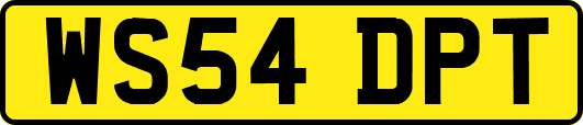 WS54DPT