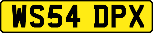 WS54DPX