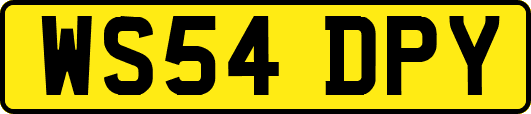 WS54DPY